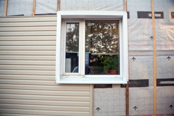 Best Siding Removal and Disposal  in Theodore, AL