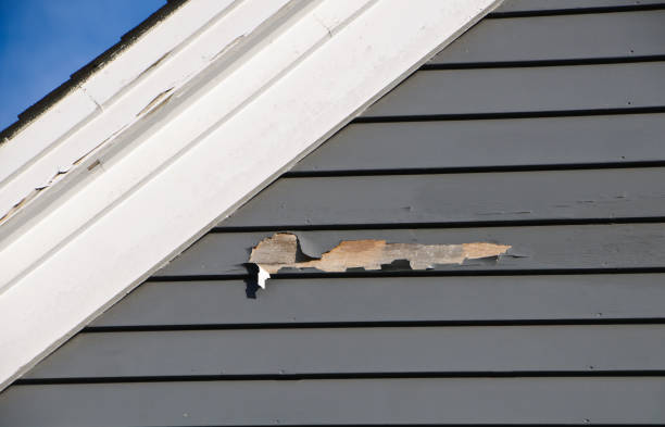 Siding for Commercial Buildings in Theodore, AL